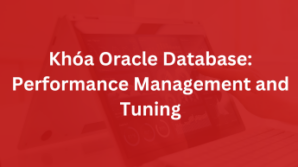 Khóa Oracle Database: Performance Management and Tuning