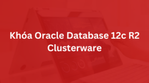 Khóa Oracle Database 12c R2: Clusterware Administration