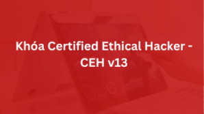 Khóa Học CEH v13 Tại Hà Nội – EC-Council Authorized