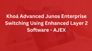 Khóa Advanced Junos Enterprise Switching Using Enhanced Layer 2 Software – AJEX