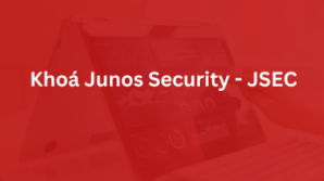 Khóa Junos Security – JSEC