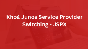 Khóa Junos Service Provider Switching – JSPX