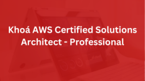 Khóa AWS Certified Solutions Architect – Professional
