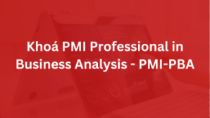 Khoá PMI Professional in Business Analysis – PMI-PBA