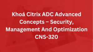 Khoá Citrix ADC Advanced Concepts – Security, Management And Optimization CNS-320