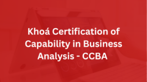 Khoá Certification of Capability in Business Analysis – CCBA