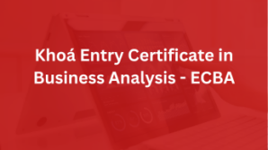 Khoá Entry Certificate in Business Analysis – ECBA