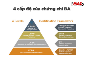 4 cấp độ trong hệ thống chứng chỉ của IIBA