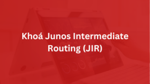 Khoá Junos Intermediate Routing (JIR)