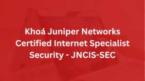 Khoá Juniper Networks Certified Internet Specialist Security – JNCIS-SEC