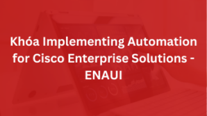 Khoá Implementing Automation for Cisco Enterprise Solutions – ENAUI