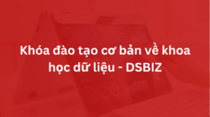 Khóa đào tạo cơ bản về khoa học dữ liệu – DSBIZ