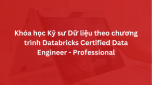 Khóa học Kỹ sư Dữ liệu theo chương trình Databricks Certified Data Engineer – Professional