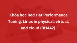 Khóa học Red Hat Performance Tuning: Linux in physical, virtual, and cloud (RH442)