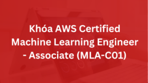 Khóa AWS Certified Machine Learning Engineer – Associate (MLA-C01)