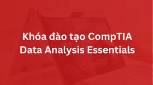 Khóa đào tạo CompTIA Data Analysis Essentials