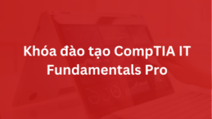 Khóa đào tạo CompTIA IT Fundamentals Pro
