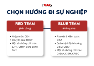 hướng đi sự nghiệp trong ngành an ninh mạng